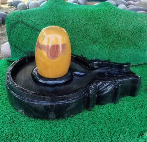 yelloshivling