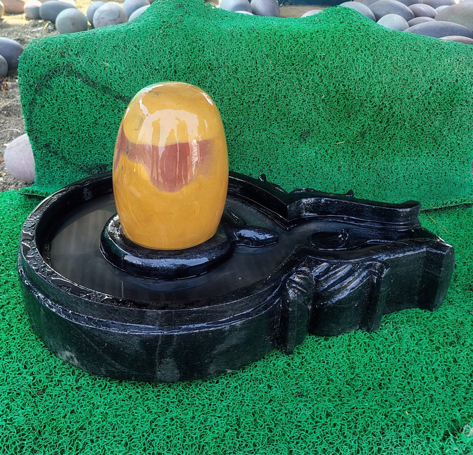 yelloshivling