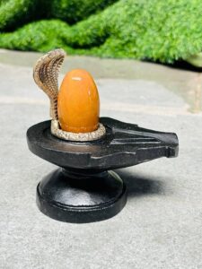yelloshivling01